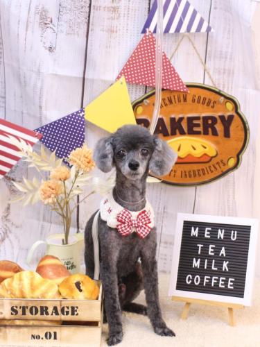 20240914もっぷくん